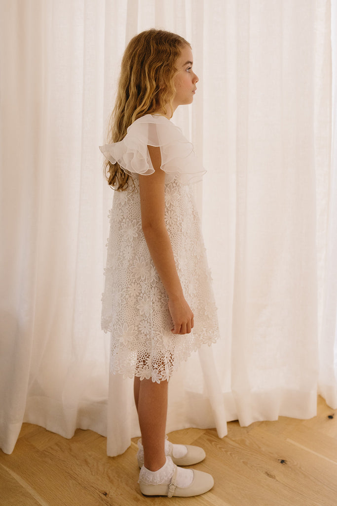 PETITE AMALIE "Soleil" Organza Ruffle Sleeve Lace Dress