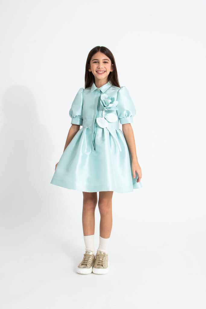 ELIE SAAB RUFFLED ROSE EMBELLISHED TAFFETA DRESS in Seafoam Green